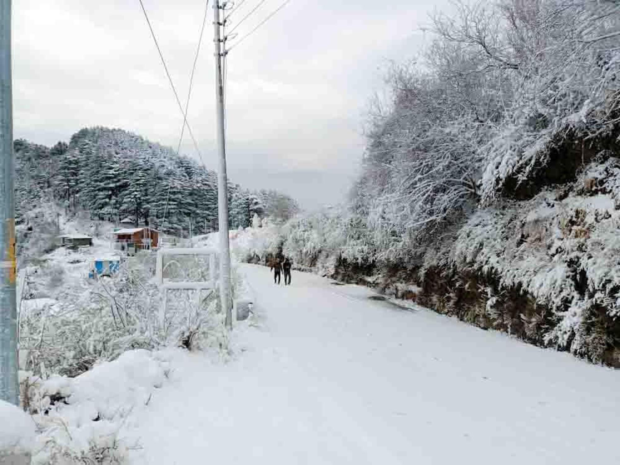 La Riqueza Kanatal #Mountain View Rooms # Near To Kodia Forest Jungle Saafari # 05 Mins From Adventure Activities Εξωτερικό φωτογραφία