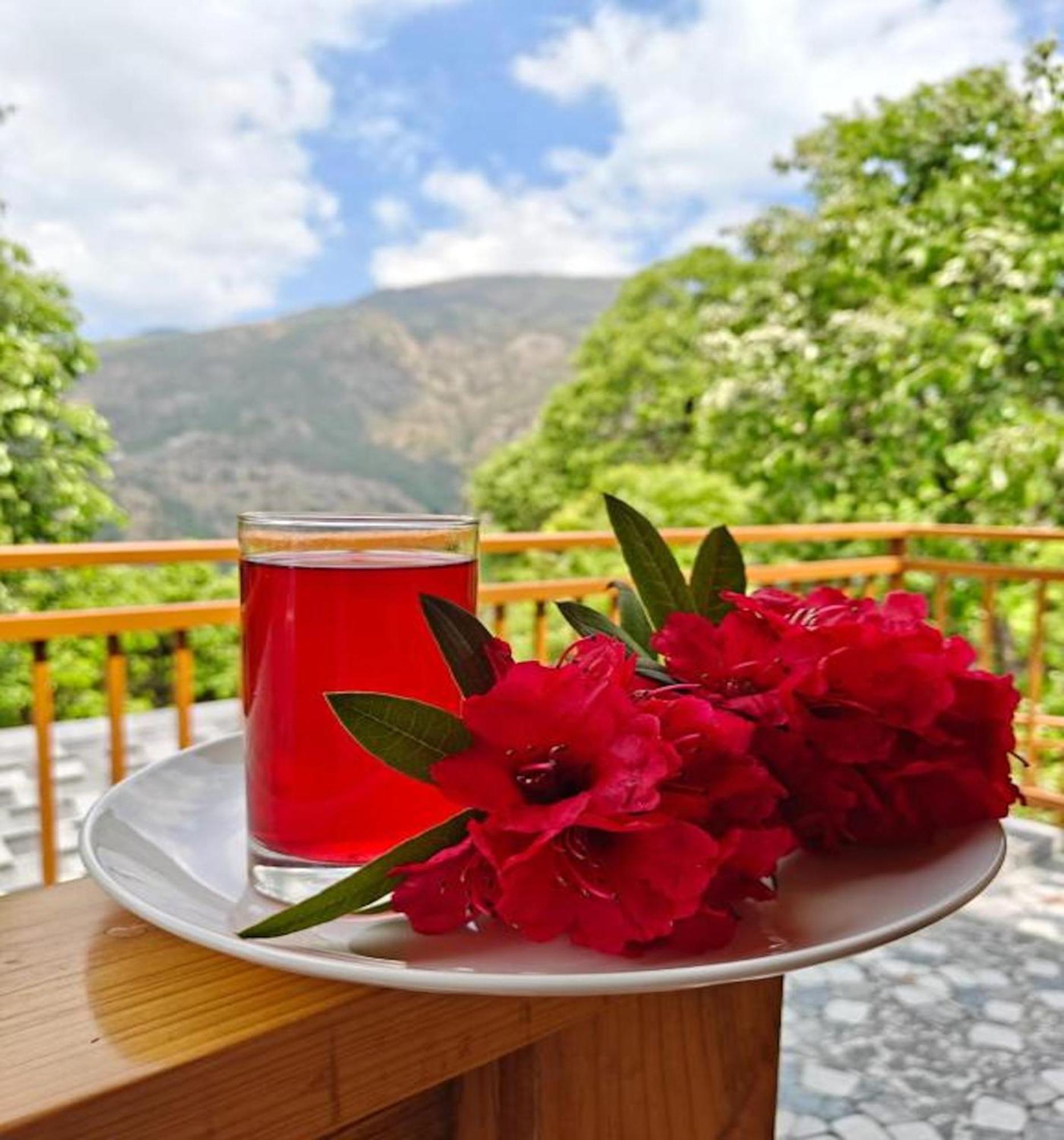 La Riqueza Kanatal #Mountain View Rooms # Near To Kodia Forest Jungle Saafari # 05 Mins From Adventure Activities Εξωτερικό φωτογραφία